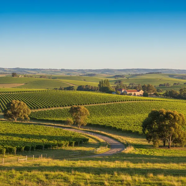 South Australia State Nomination - Why It Is the Easiest Path